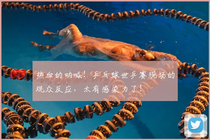 热血的呐喊!乒乓球世乒赛现场的观众反应,太有感染力了!