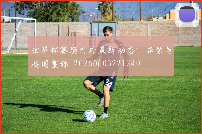 世界杯赛场内外最新动态：花絮与趣闻集锦_20260603221240