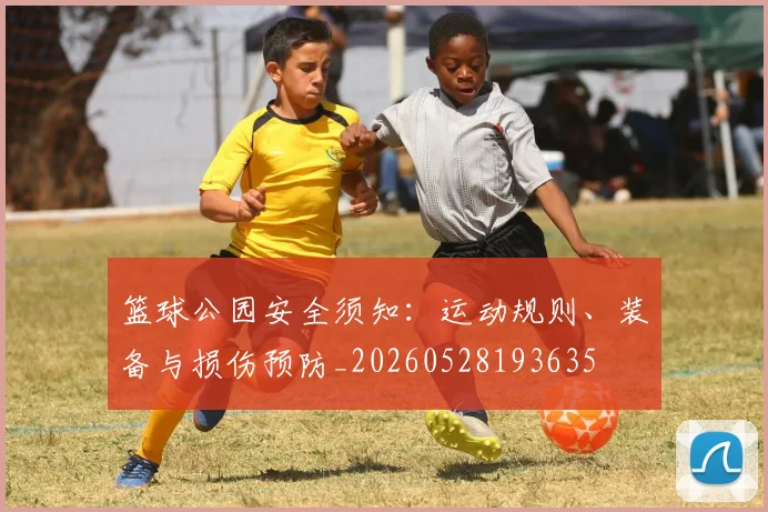 篮球公园安全须知：运动规则、装备与损伤预防_20260528193635